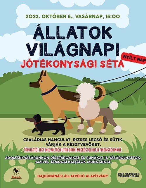 Jótékonysági sétára invitálunk!