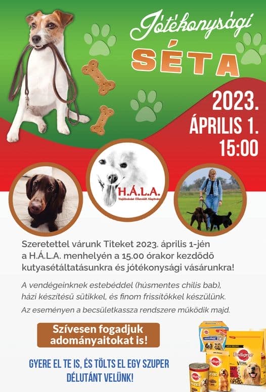 II. Jótékonysági séta
