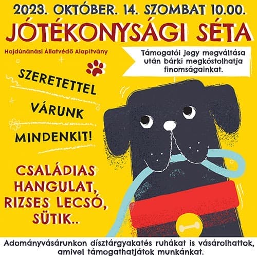III. Jótékonysági séta